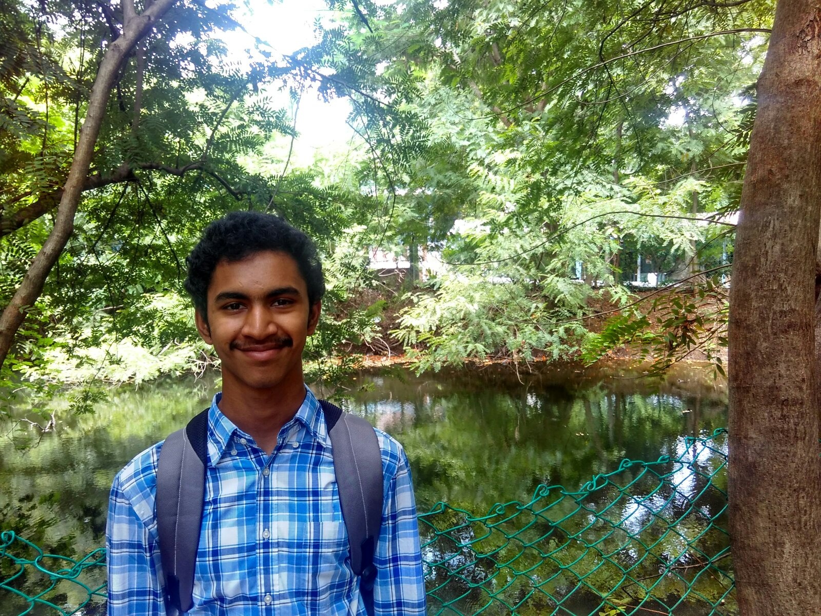 Riparian Forest - HD Wallpaper 