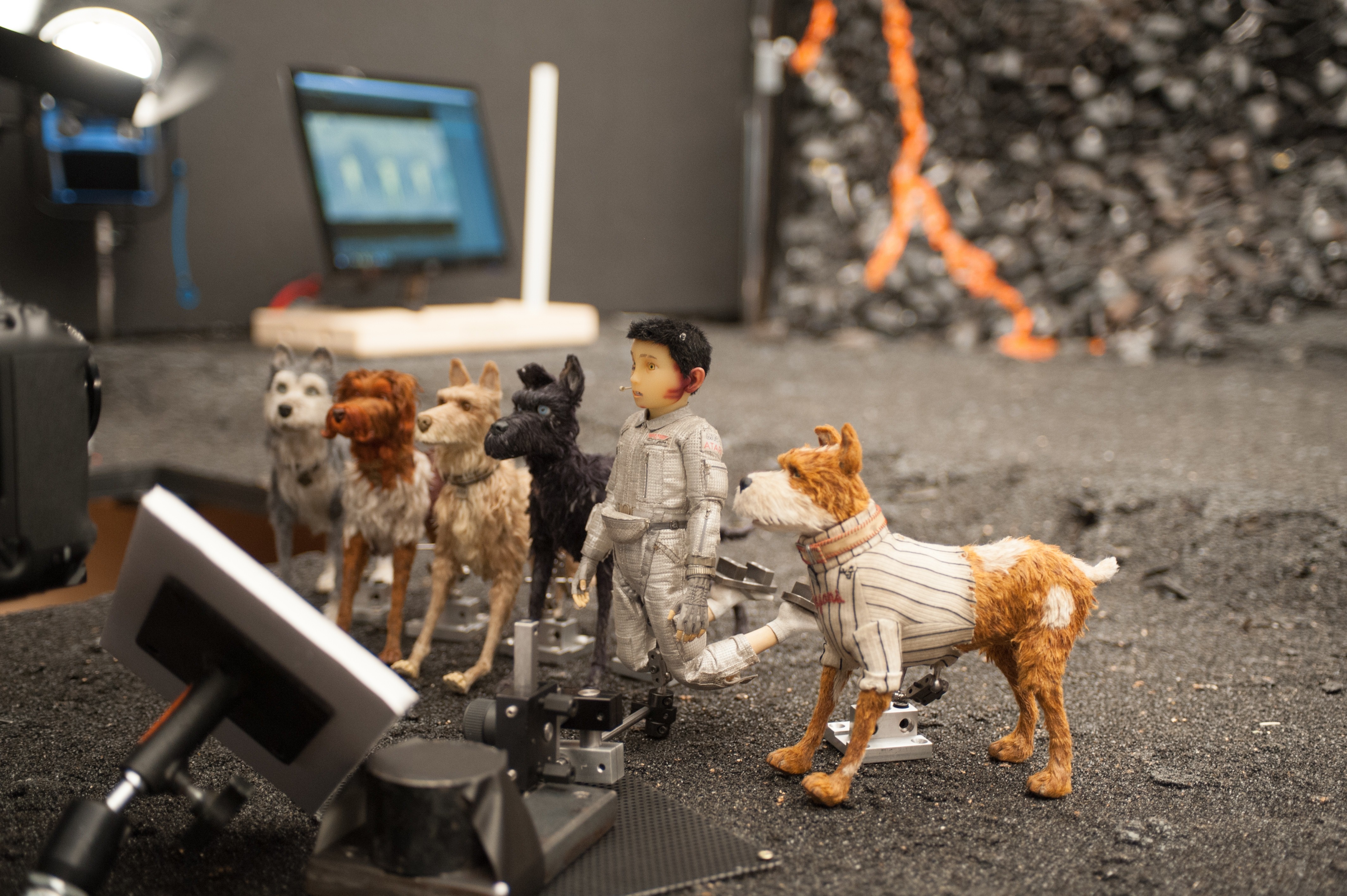 Isle Of Dogs Cartoon Film Hd Wallpaper - Isle Of Dogs Hd - HD Wallpaper 