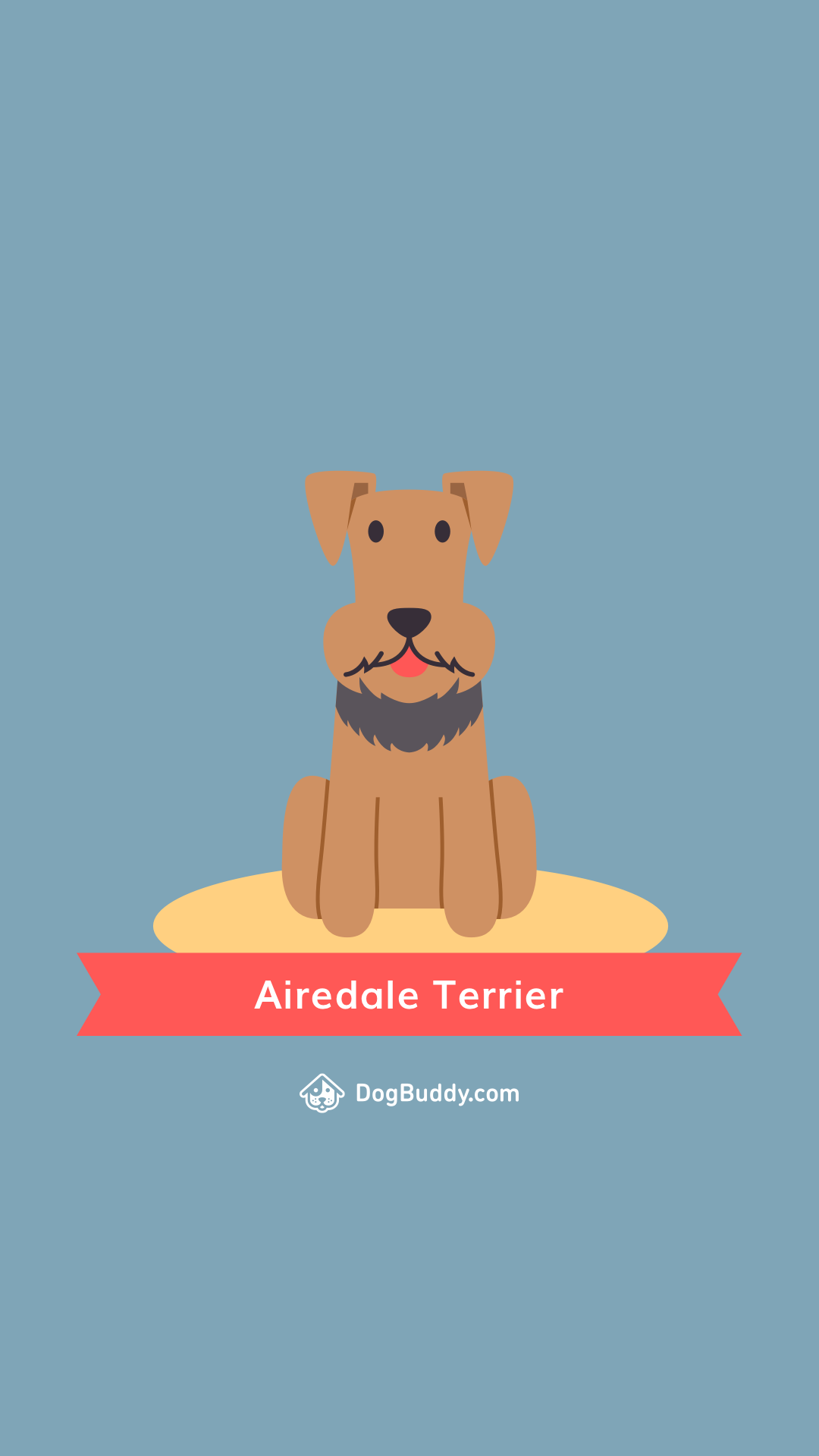 Dog Yawns - HD Wallpaper 