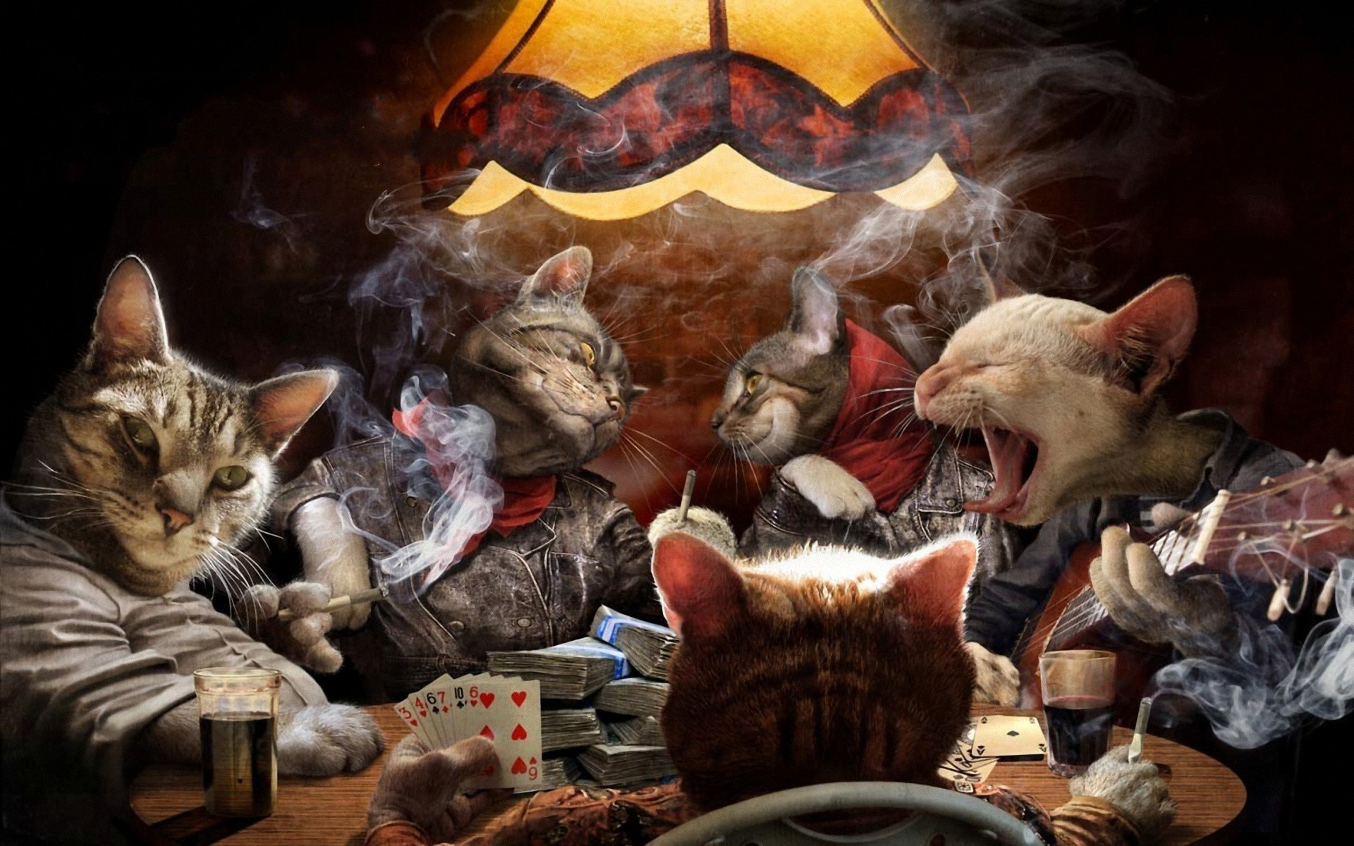 Cat Poker Cards Game Humor Funny Wallpaper - Cats Playing Poker - HD Wallpaper 