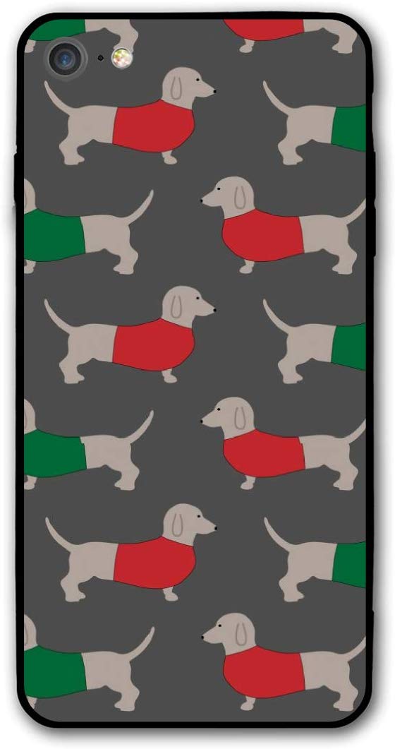 Dachshund - HD Wallpaper 