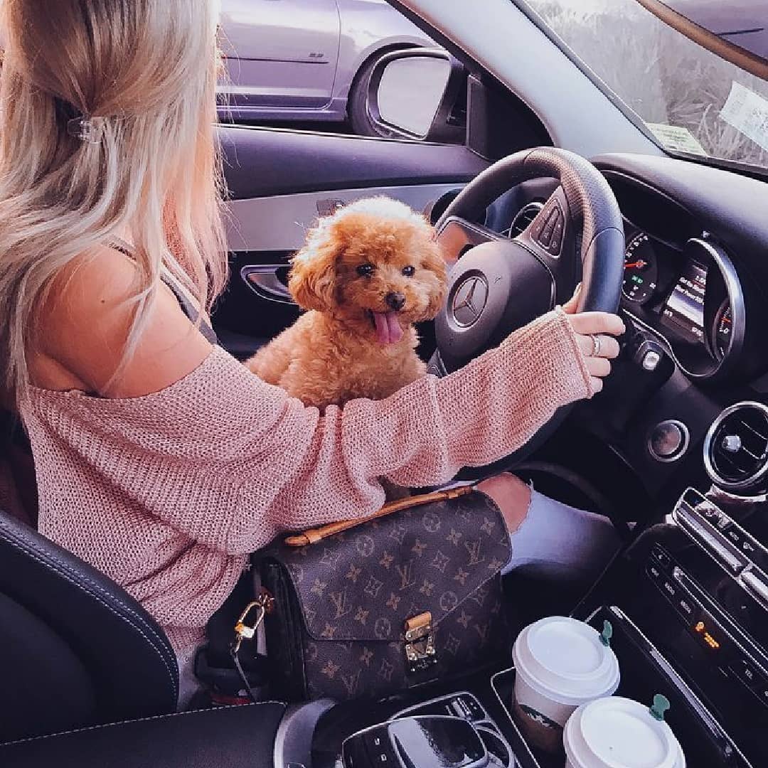 Mercedes Benz Louis Vuitton Iphone - HD Wallpaper 