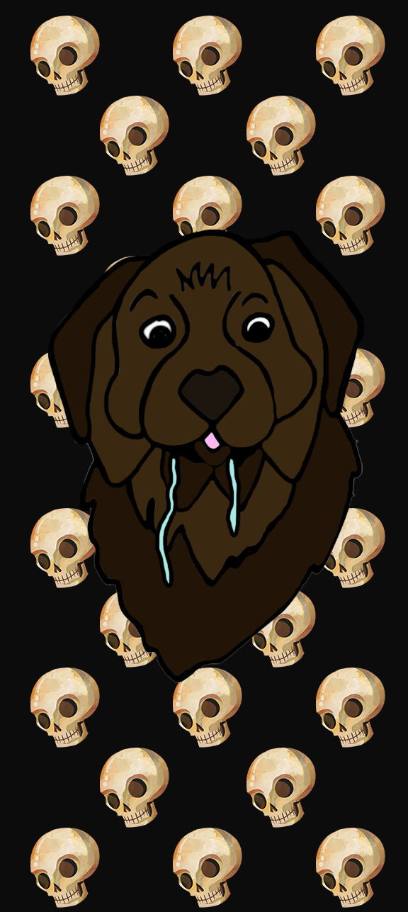 Labrador Retriever - HD Wallpaper 