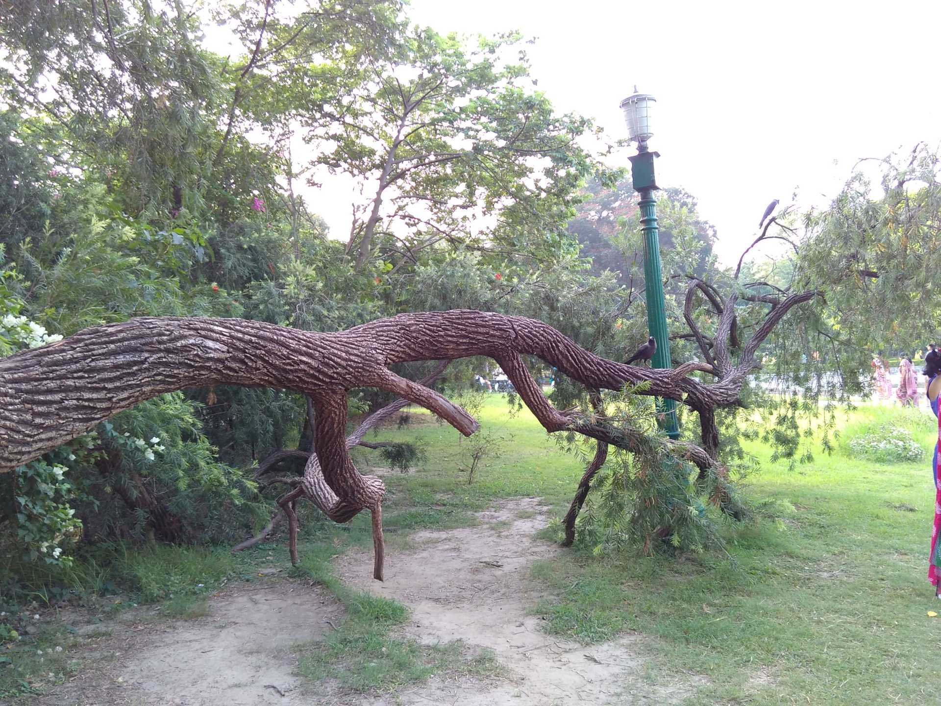 Yu Yuphorial Camera Sample - Statue - HD Wallpaper 