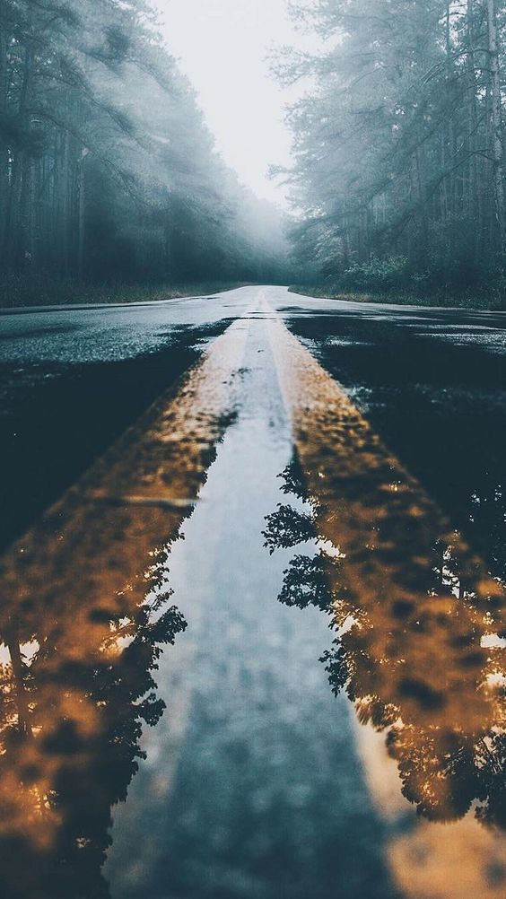 Rain Nature Images Road - HD Wallpaper 