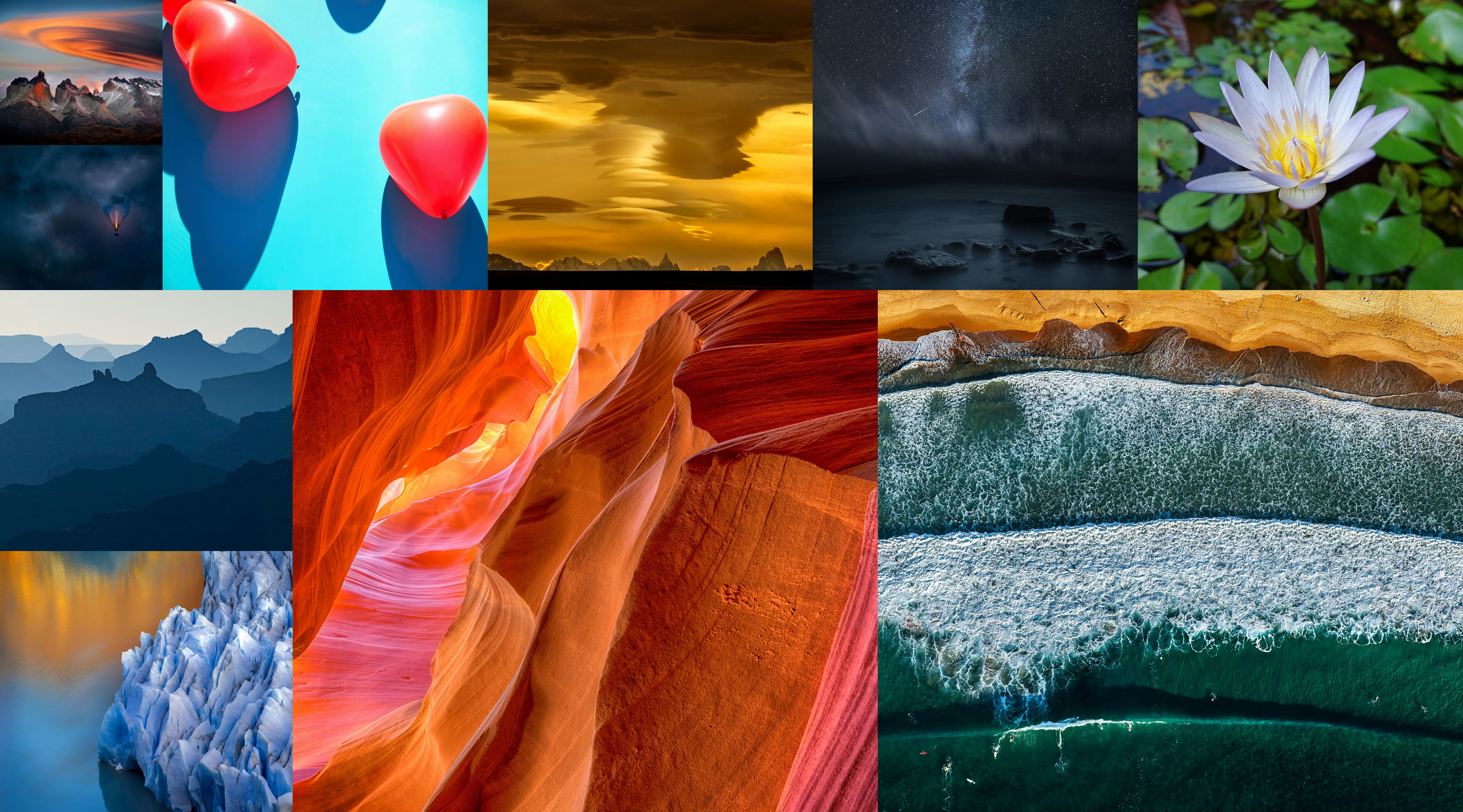 Ice Plant Family - HD Wallpaper 