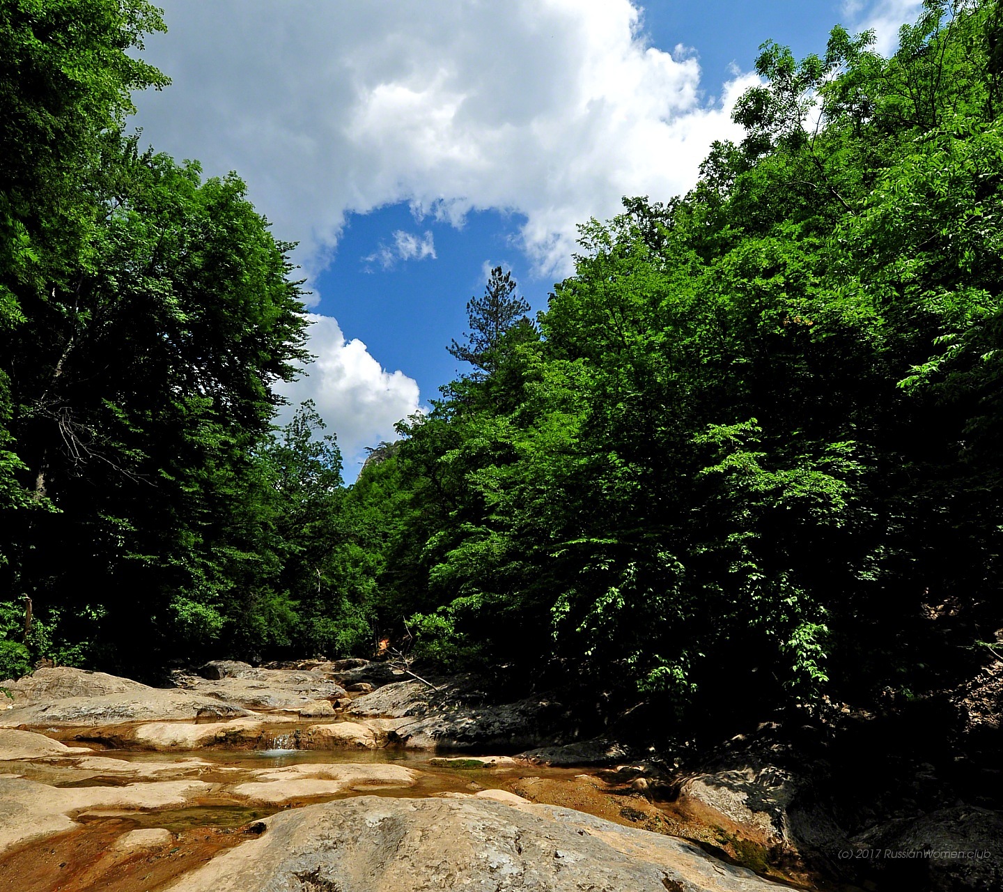 Beautiful Free Wallpapers Mobile - Wallpaper - HD Wallpaper 