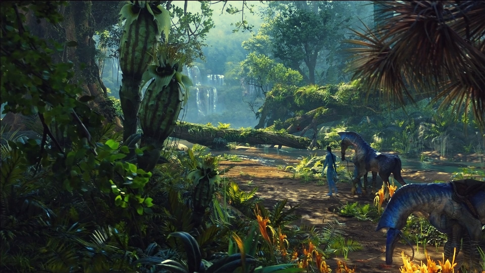 Avatar Hd Wallpaper - HD Wallpaper 