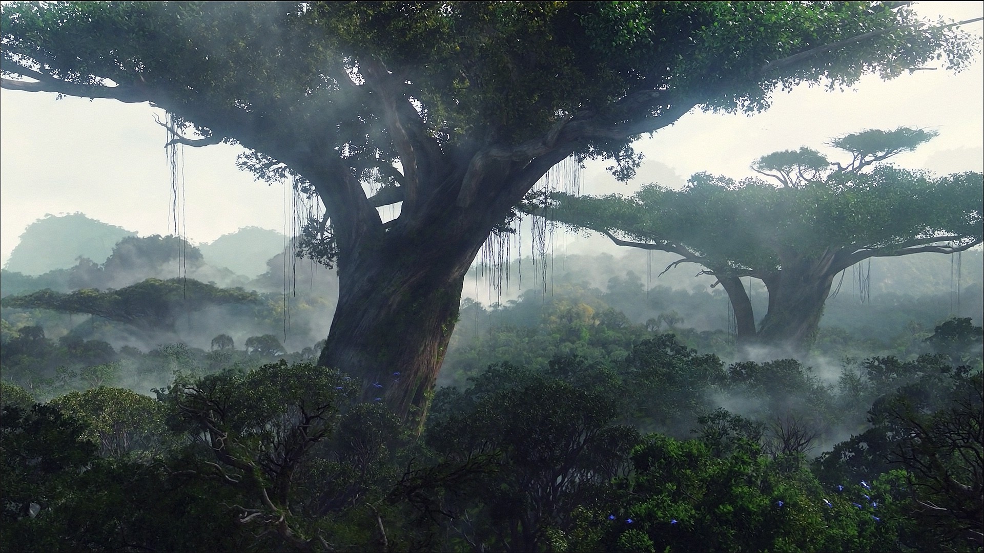 Trees In Avatar Movie - HD Wallpaper 