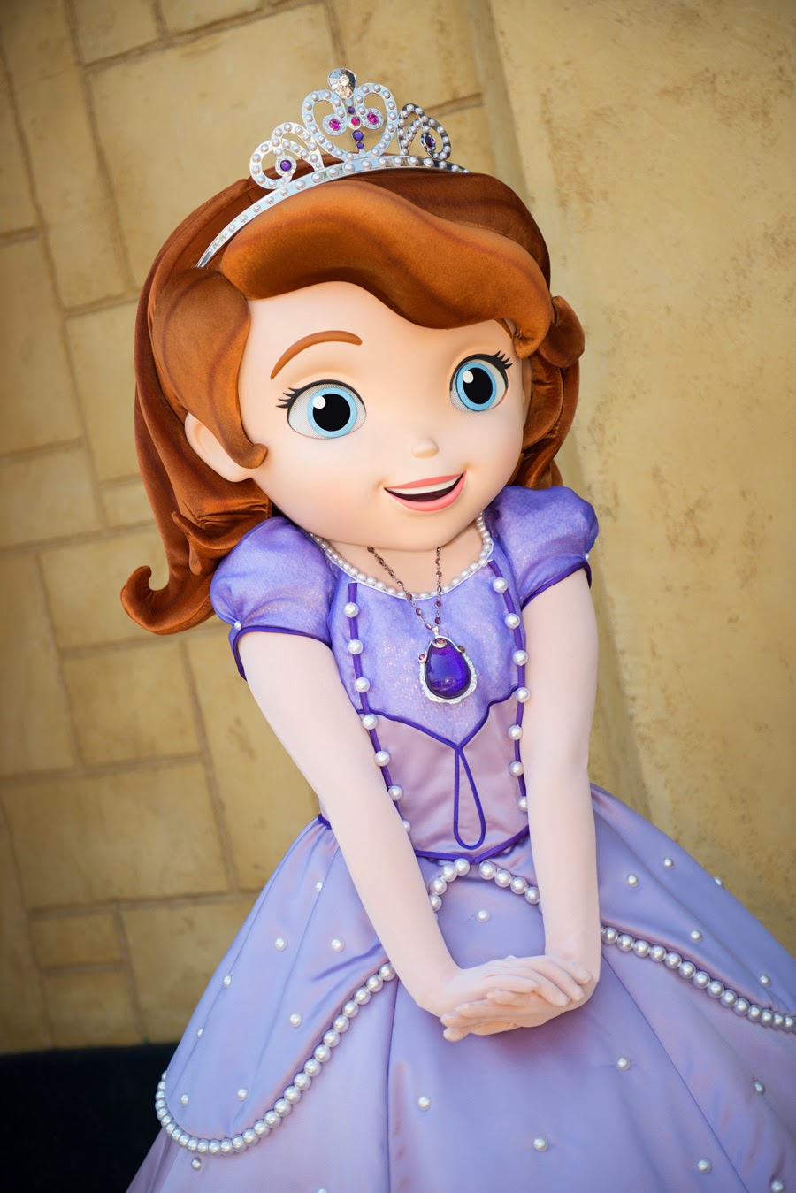 Disney Princess Sofia The First - Princess Images For Dp Hd - 900x1349  Wallpaper 
