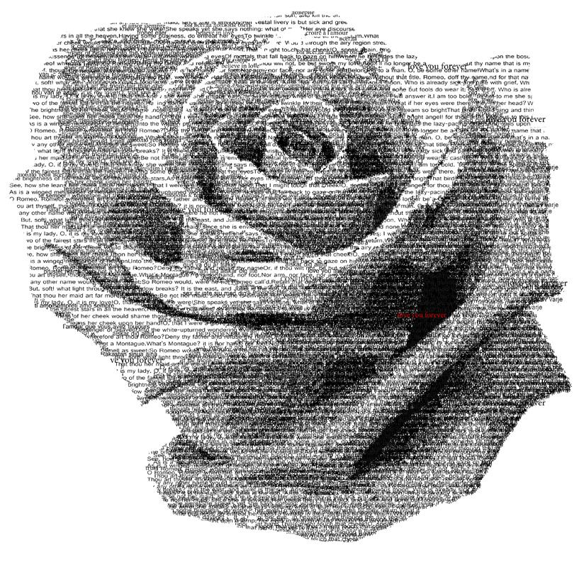 Mr Perswall - Roses Drawing Renaissance - HD Wallpaper 