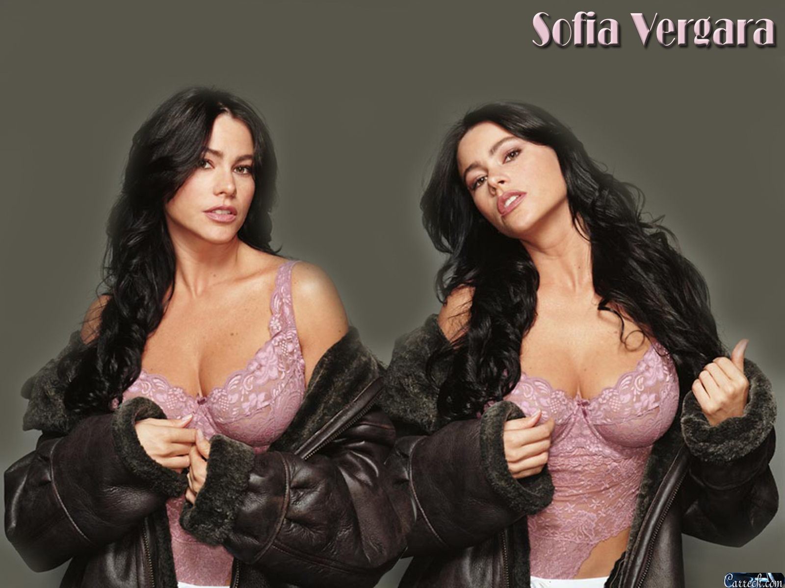 Sofìa Vergara - Sofia Vergara - HD Wallpaper 