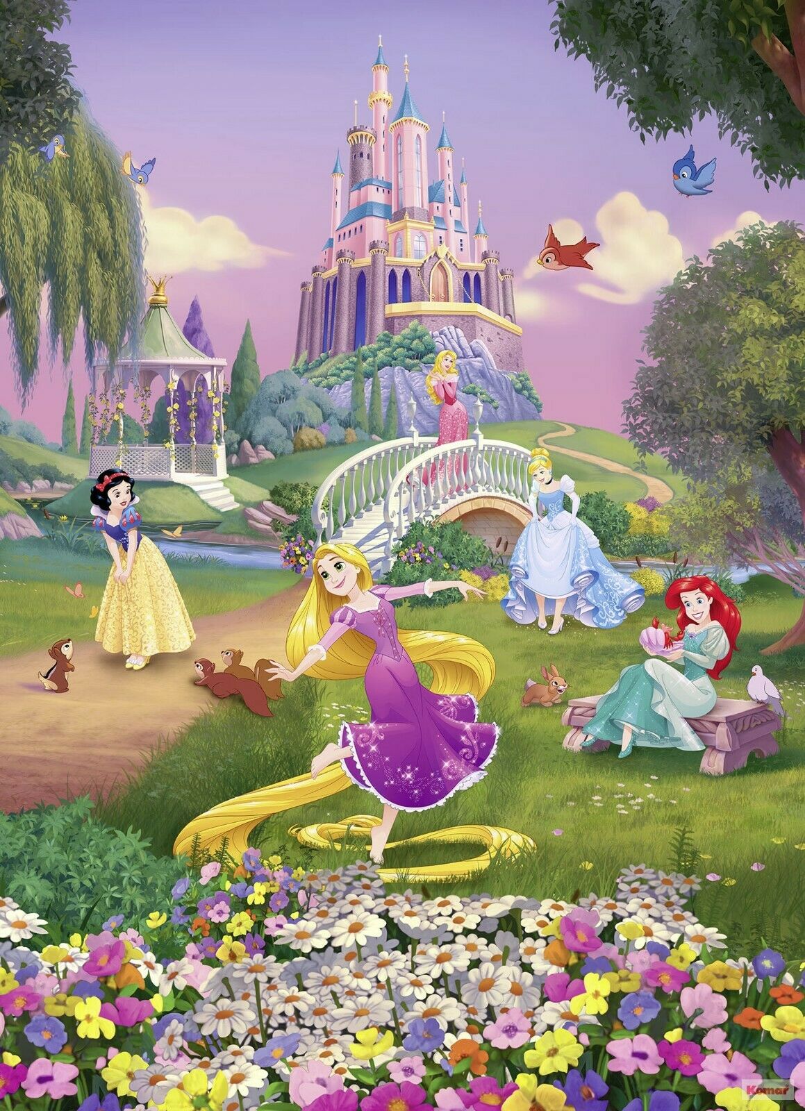 Disney Princess - HD Wallpaper 