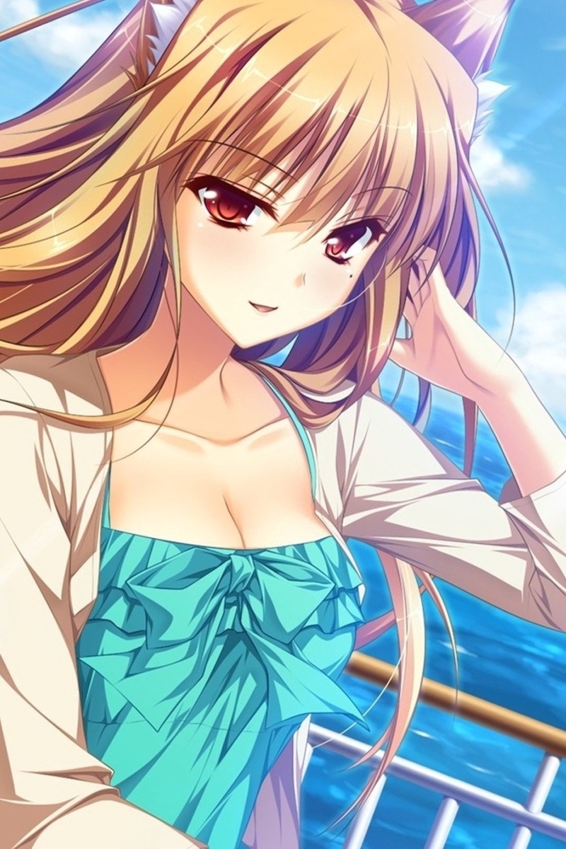 Wallpaper Yasaka Minato, Girl, Ears, Tail - Holo The Wise Wolf Modern - HD Wallpaper 