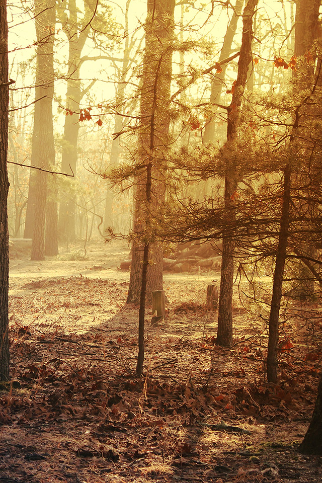 Com Apple Wallpaper Morning-chill Iphone4 - Chill 4k - HD Wallpaper 