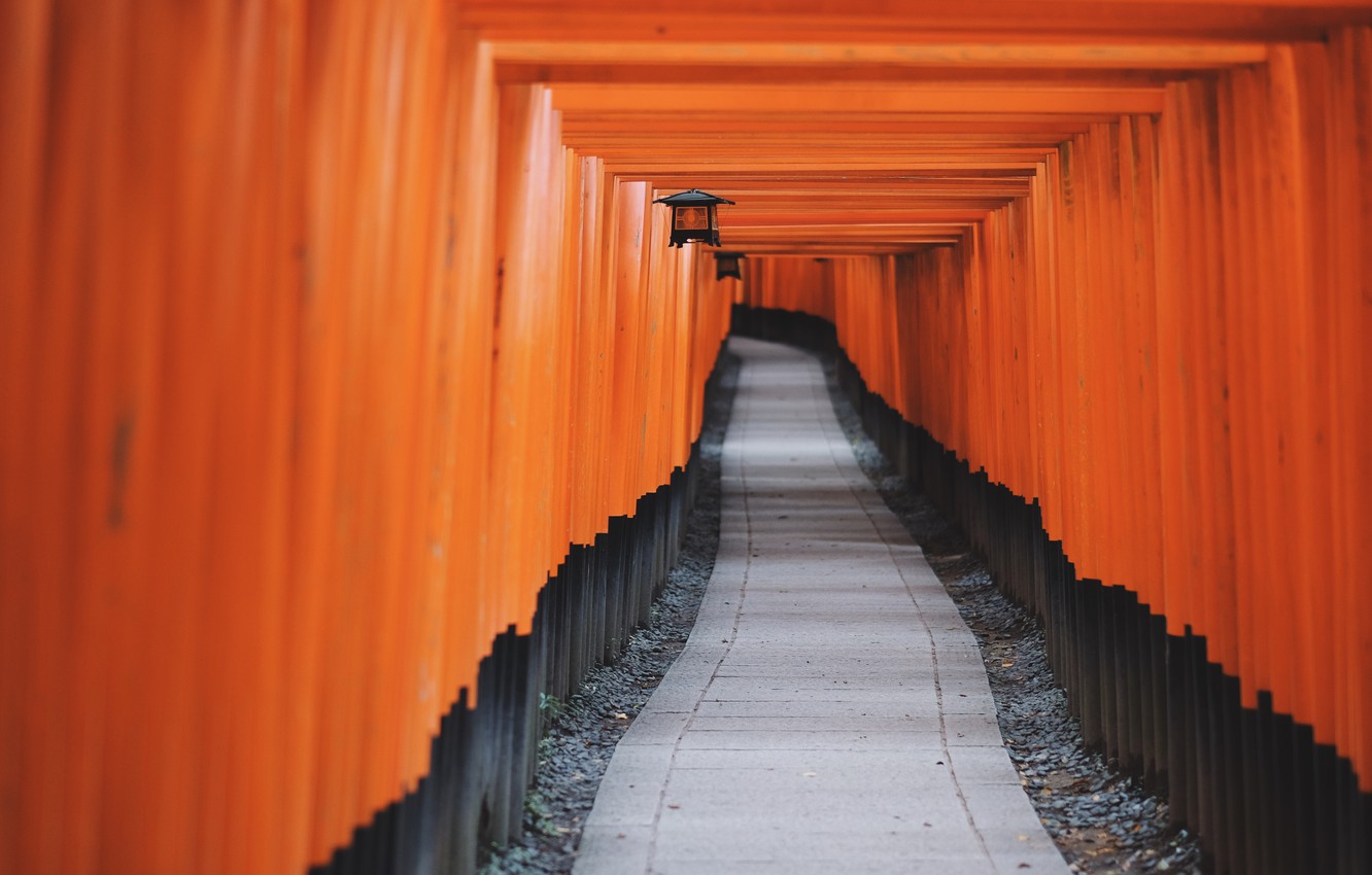 Photo Wallpaper Japan, Kyoto, East, Asia, Shrine, Fushimi - Linear Perspective And Texture Gradients - HD Wallpaper 