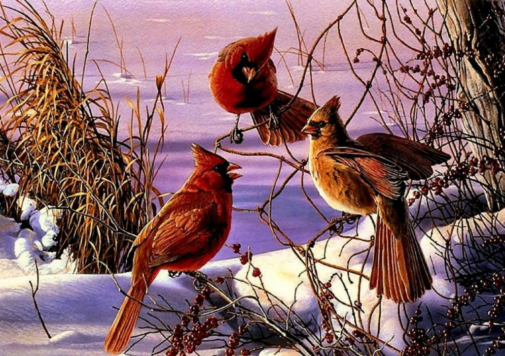 The Chill - HD Wallpaper 