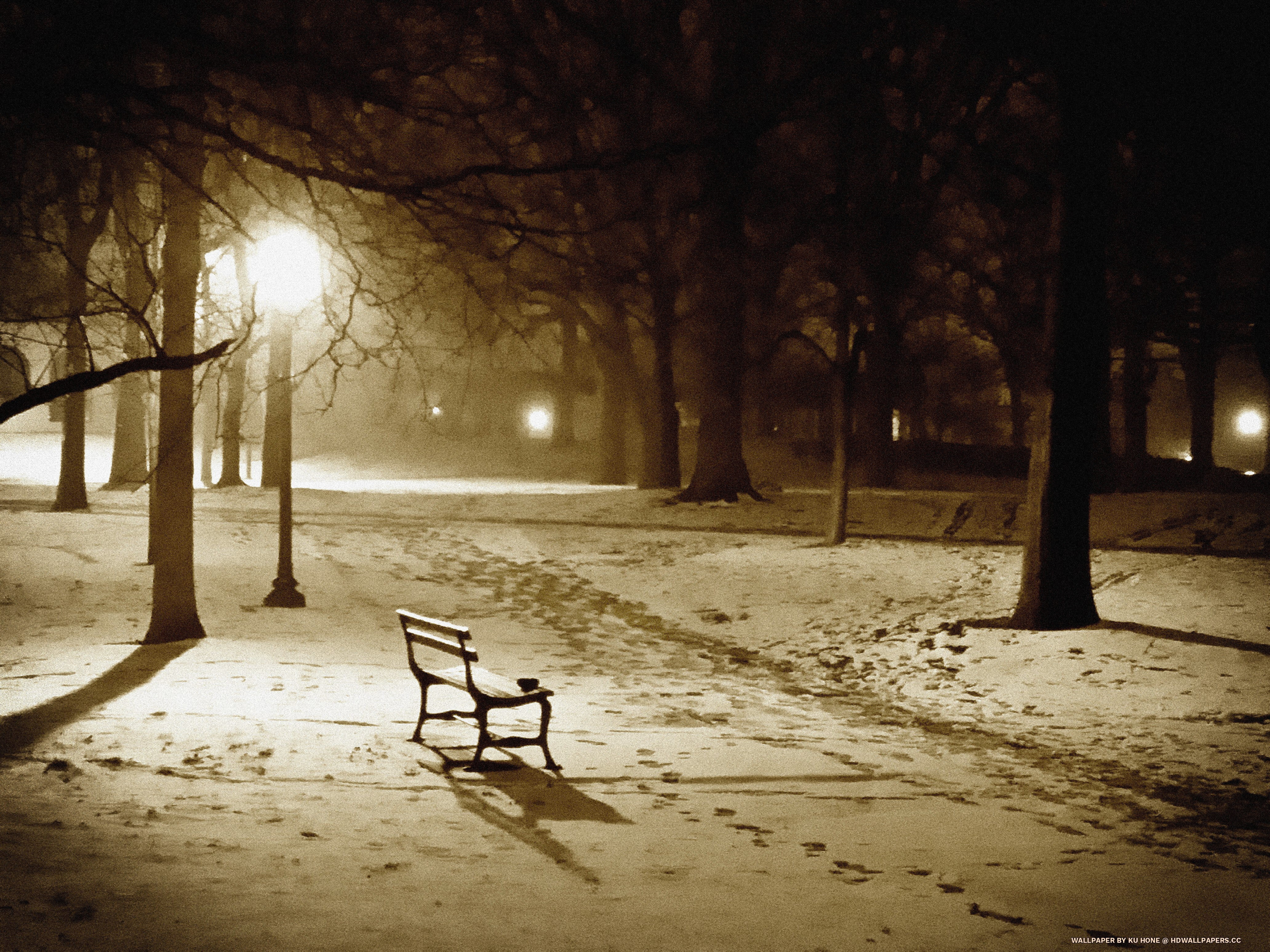 She Is Gone - She's Gone - HD Wallpaper 