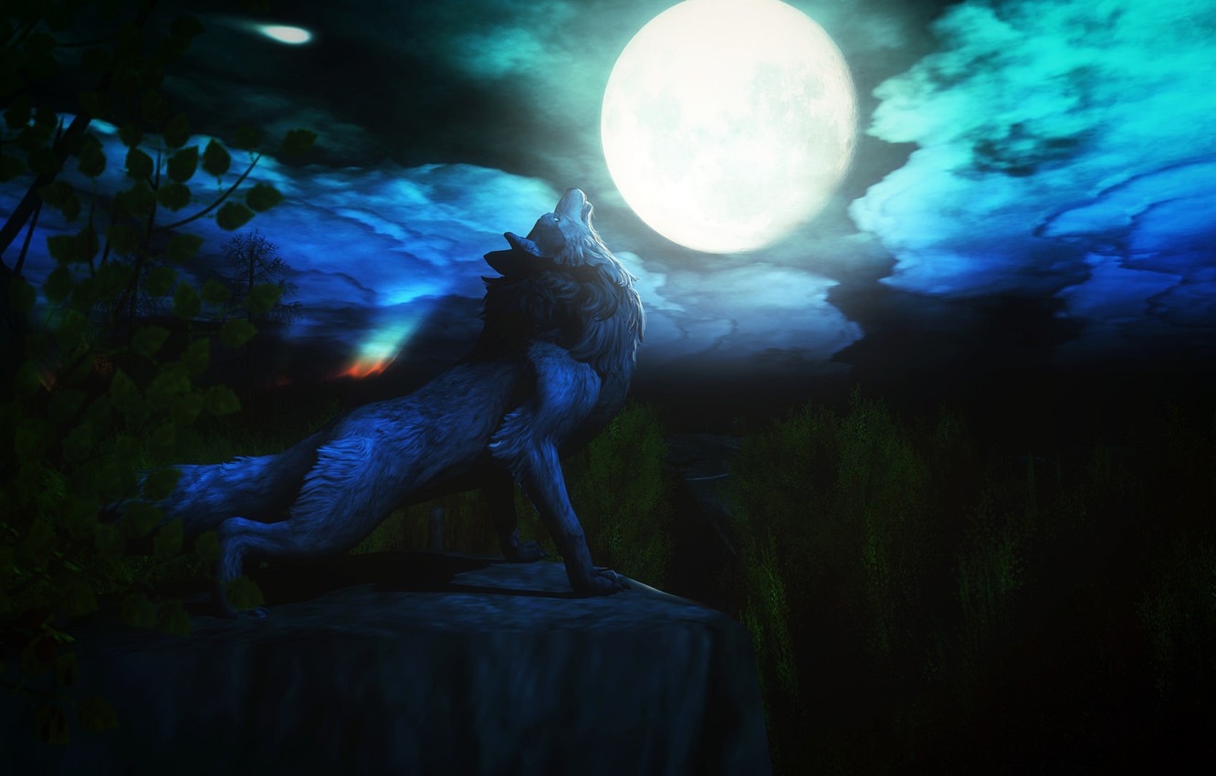 Photo Wallpaper Night, The Moon, Wolf, Howl - Wallpaper - HD Wallpaper 