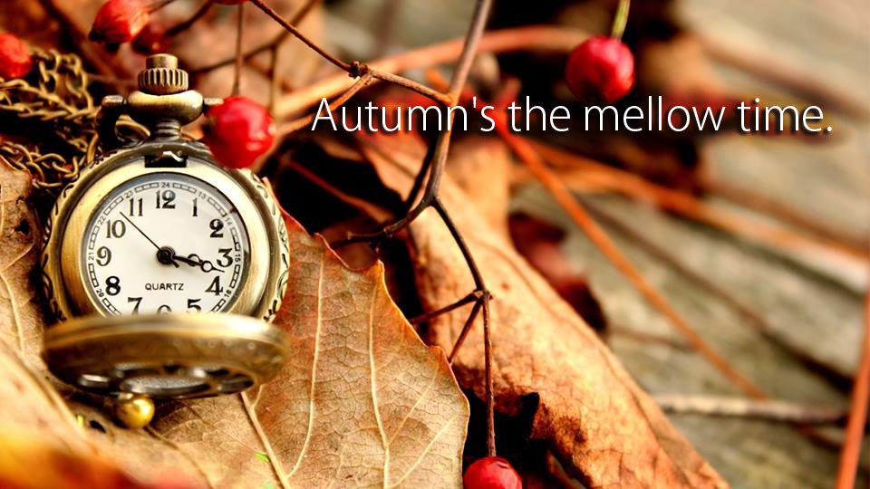 Autumn’s The Mellow Time - Ultra Hd Wallpapers 8k 7680x4320 Abstract - HD Wallpaper 