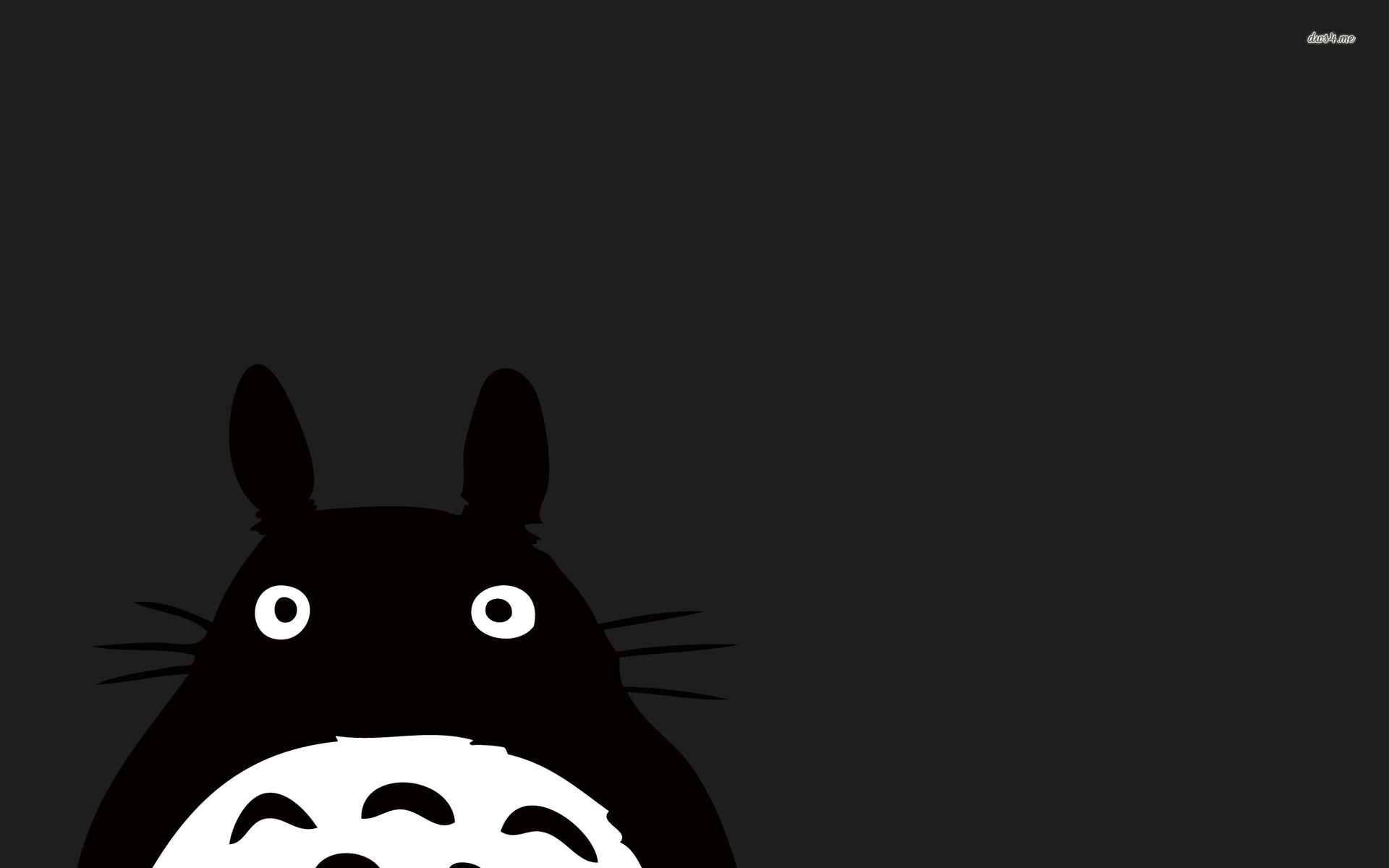 Totoro - HD Wallpaper 