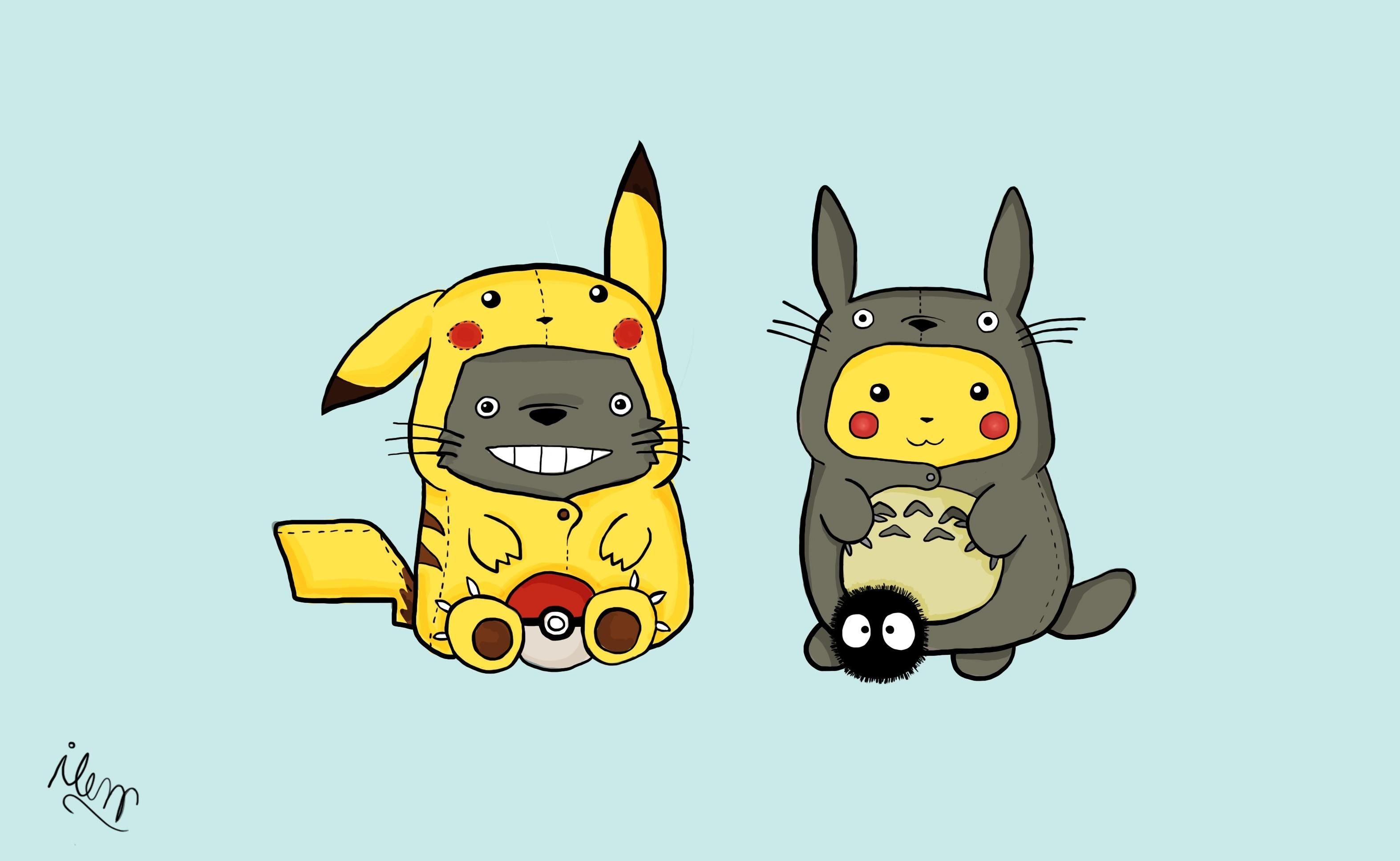 Totoro And Pikachu Hoodie - HD Wallpaper 