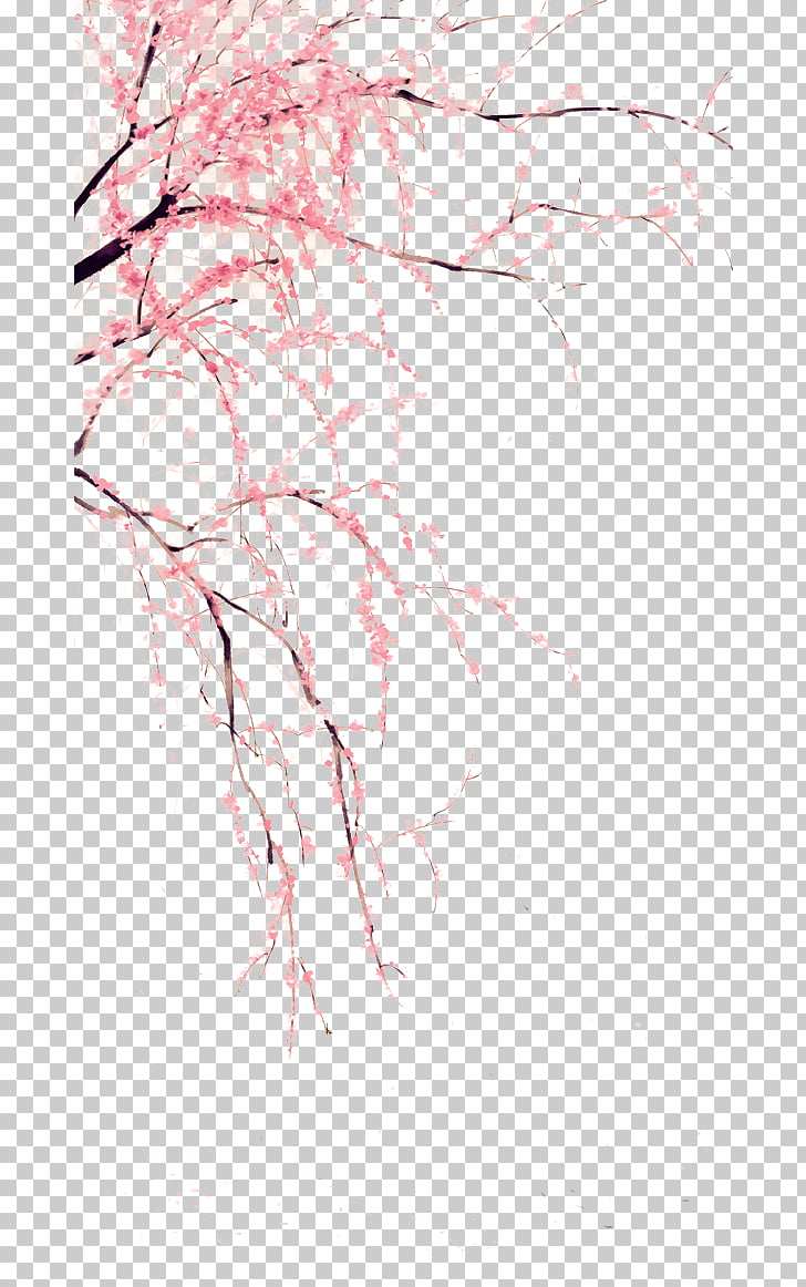 Chihiro Wallpaper - HD Wallpaper 