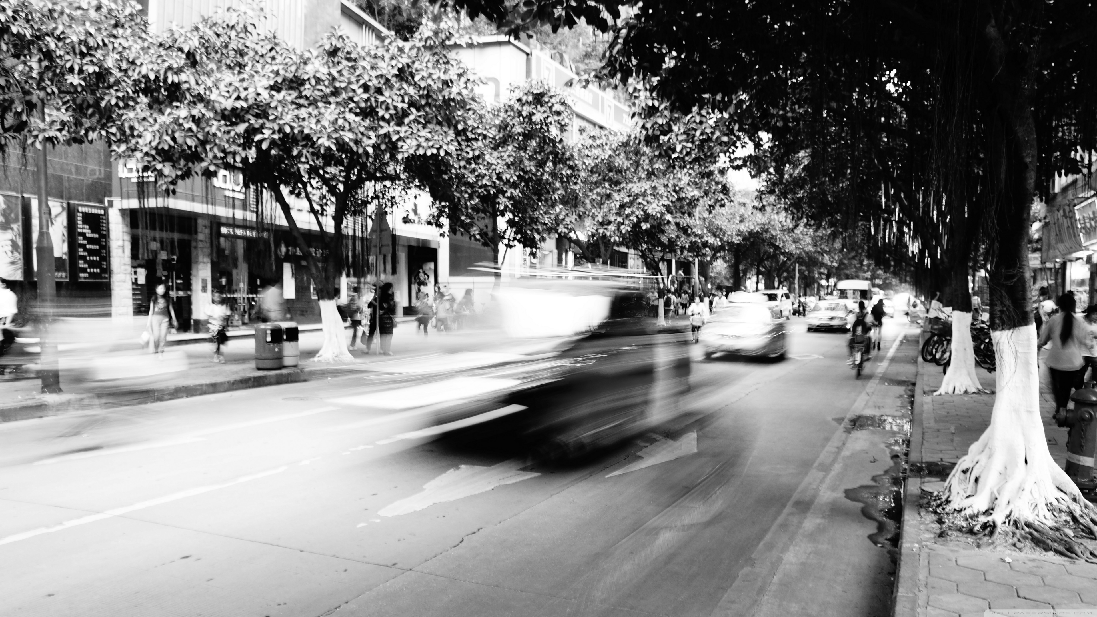 1440p - HD Wallpaper 