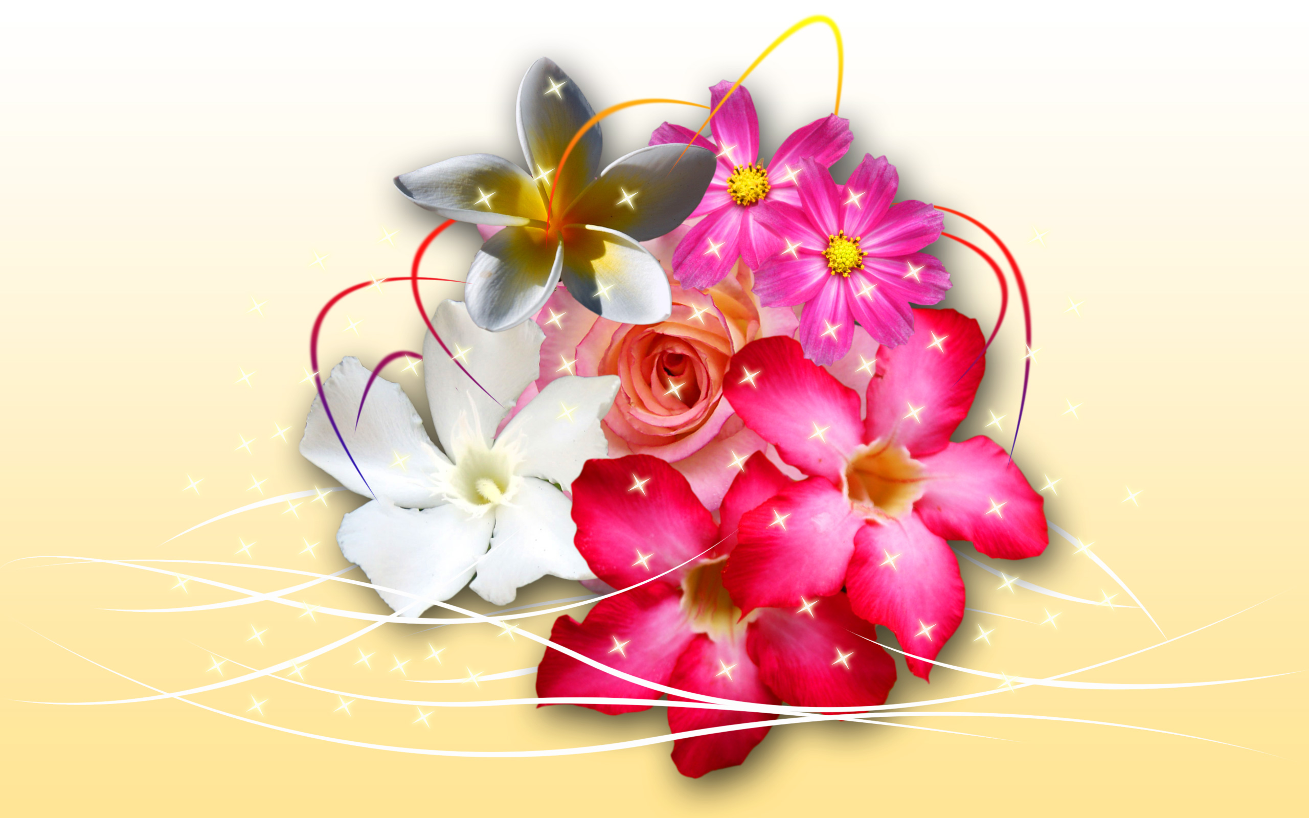 Flowers Background - HD Wallpaper 