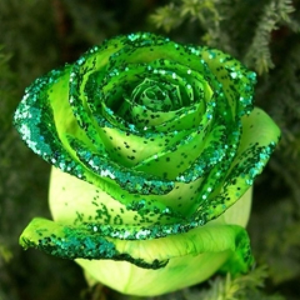 Animated Flowers Wallpaper - Glitter Glue On Flowers - HD Wallpaper 