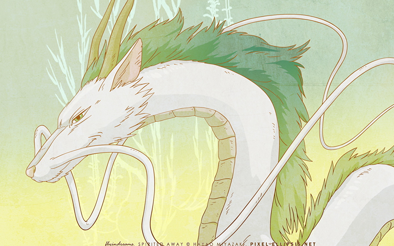 Haku Spirited Away - HD Wallpaper 