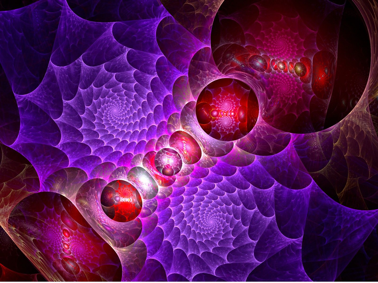 Gif Libre De Droit - HD Wallpaper 