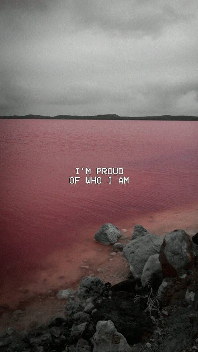 Praying Kesha - HD Wallpaper 