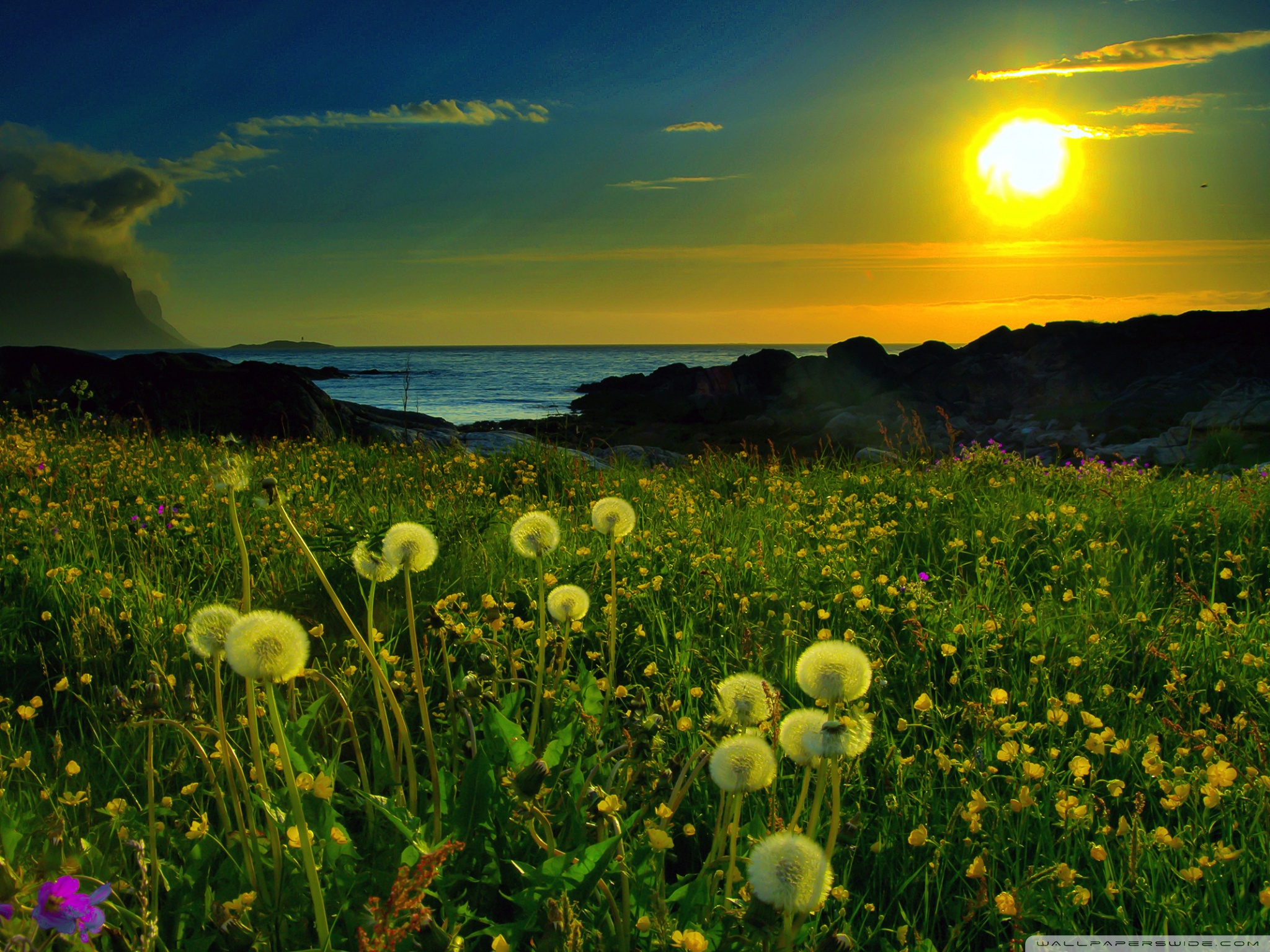 Sunshine Nature - 2048x1536 Wallpaper Sunshine Nature - 2048x1536 Wallpaper