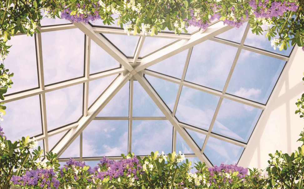 Ceiling With Plants, Colorful Flowers, The Blue Sky - Roof - HD Wallpaper 