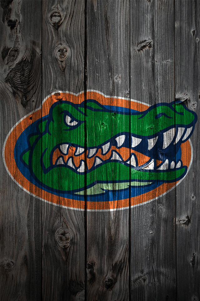 Florida Gator Iphone Background - HD Wallpaper 