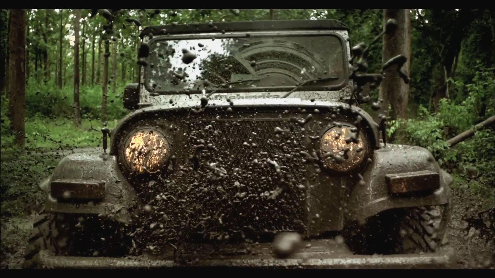 Live Young Live Free Thar - HD Wallpaper 