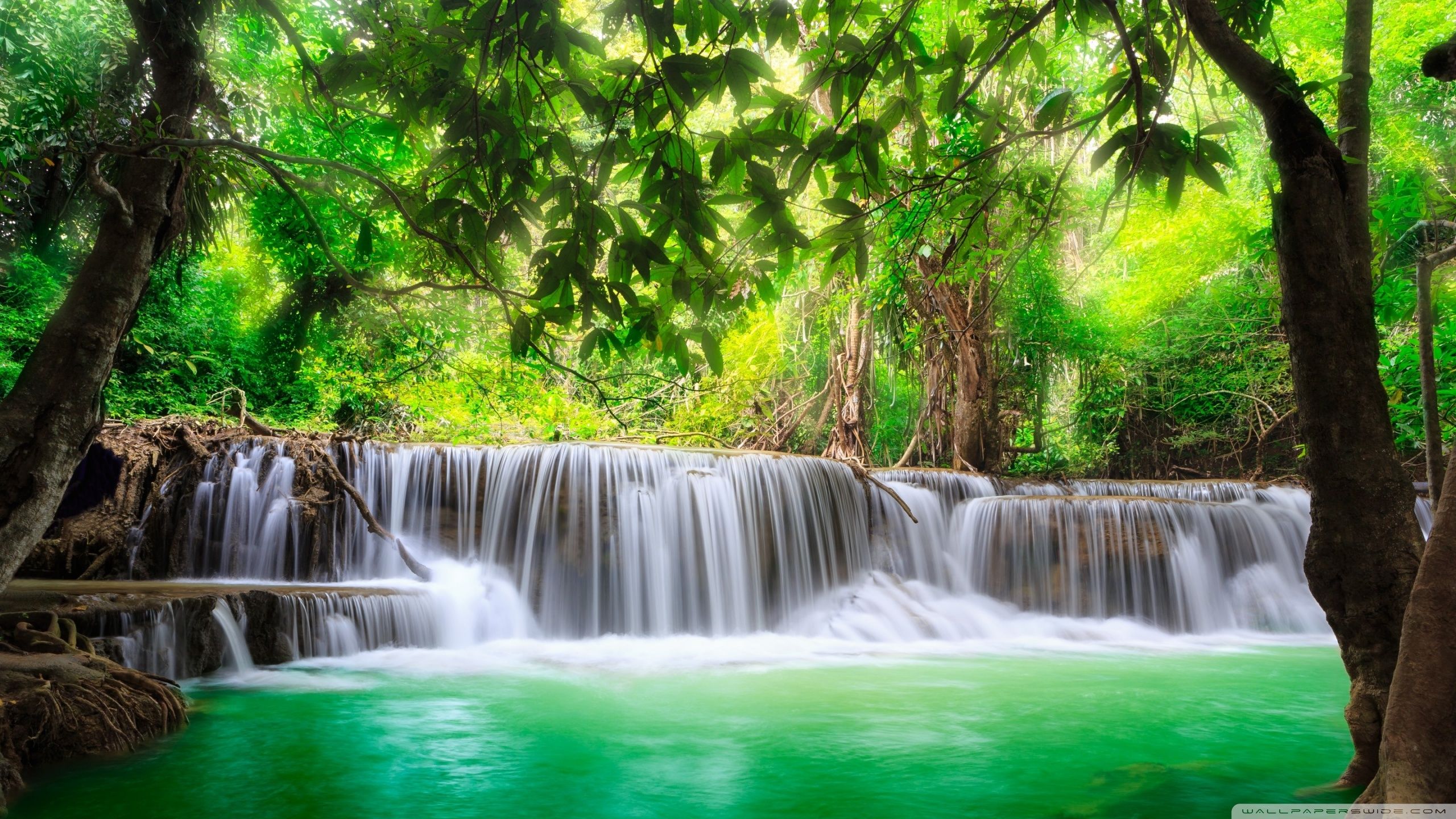 Green Tropical Waterfall ❤ 4k Hd Desktop Wallpaper - High Resolution Waterfall Wallpaper Hd - HD Wallpaper 