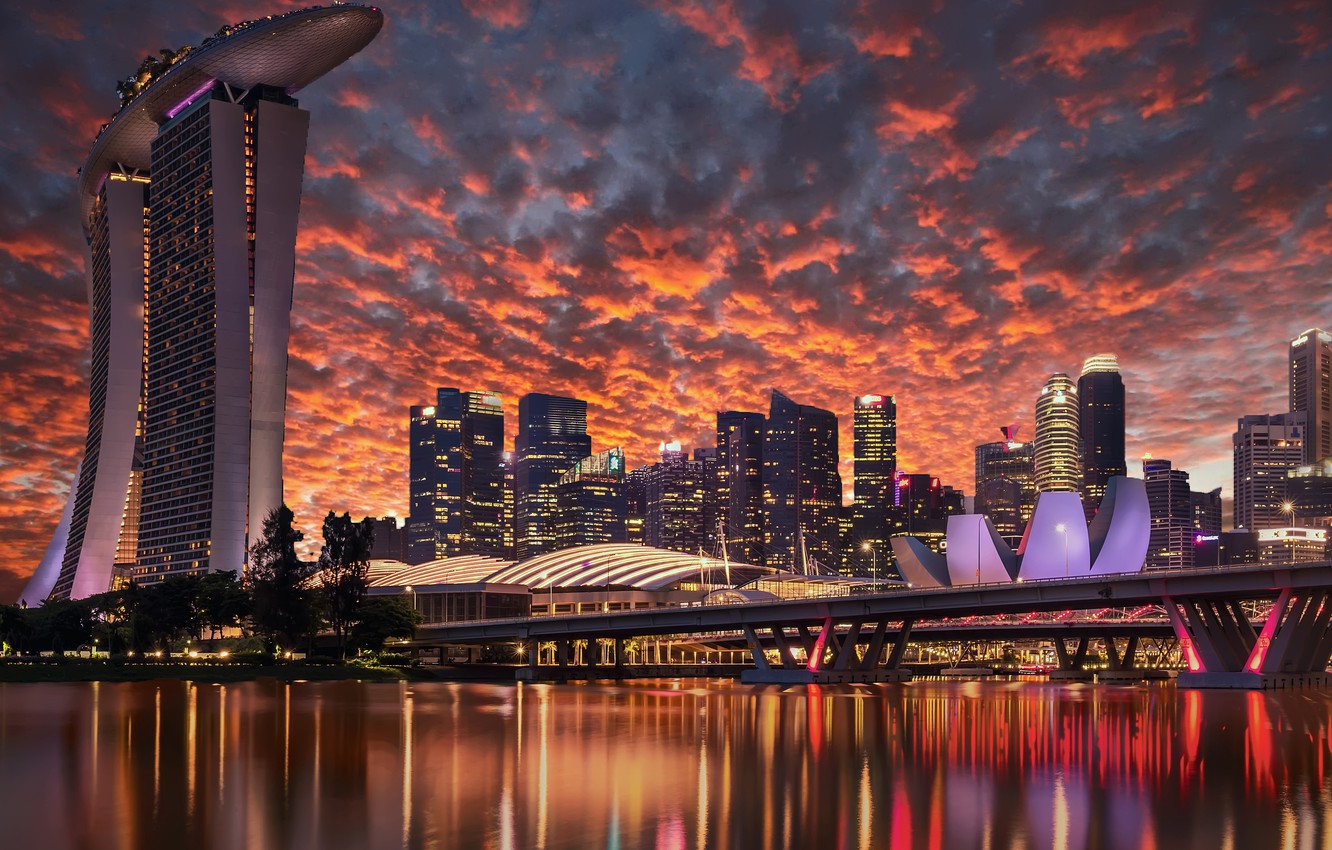 Photo Wallpaper Lights, The Evening, Singapore - Marina Bay Sands Iphone - HD Wallpaper 