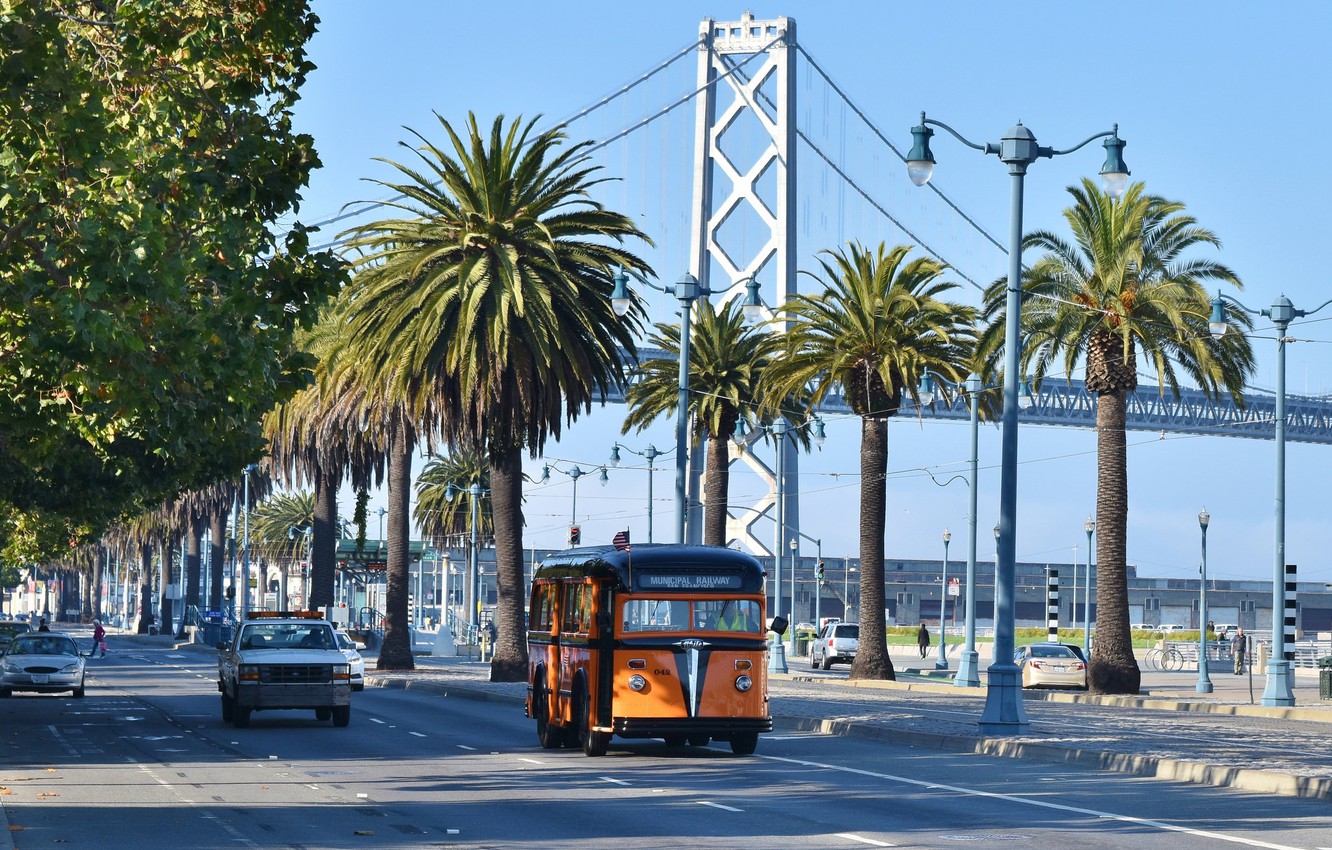Photo Wallpaper Bridge, The City, Palm Trees, Street, - San Francisco–oakland Bay Bridge - HD Wallpaper 