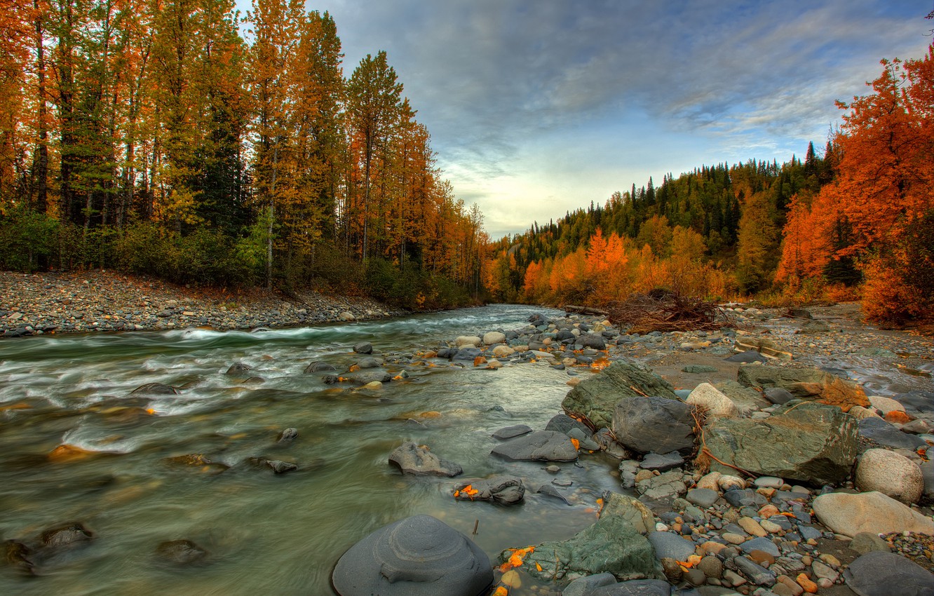 Photo Wallpaper Autumn, Forest, River, Stones, Stream, - Forest Wallpaper Alaska - HD Wallpaper 