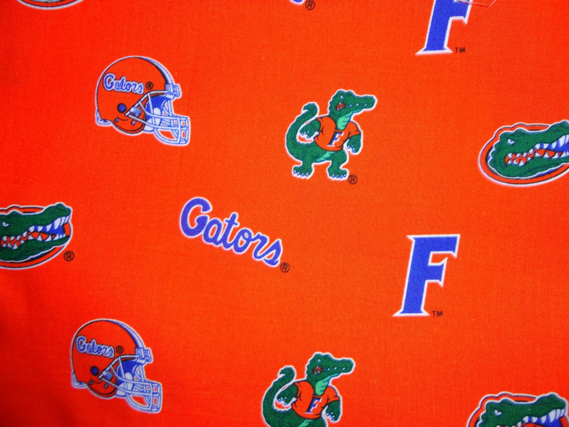 Florida Gators College Football Wallpaper Background - Florida Gator Background - HD Wallpaper 