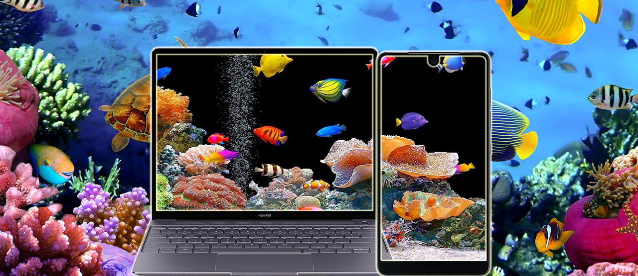 20 Wallpaper Hidup 3d Terbaik Android Dan Pc, Gratis - Seascope Sharm El Sheikh - HD Wallpaper 