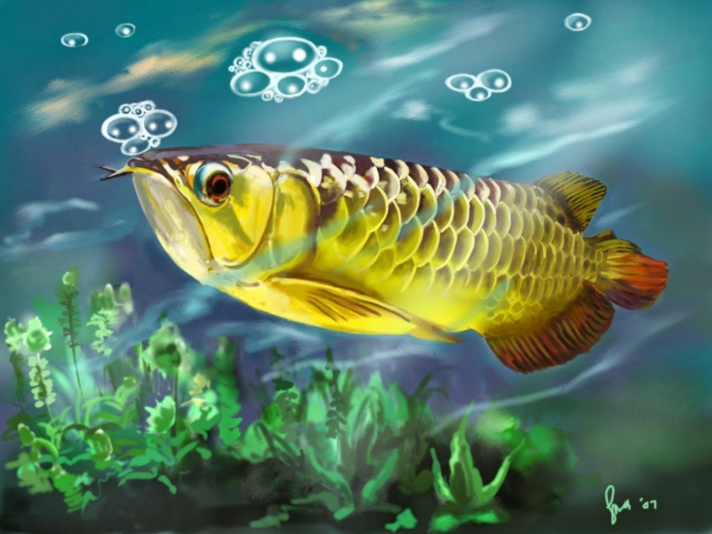 Arwana Nama Gambar Binatang A Z - Arowana Fish Wallpaper For Pc - HD Wallpaper 