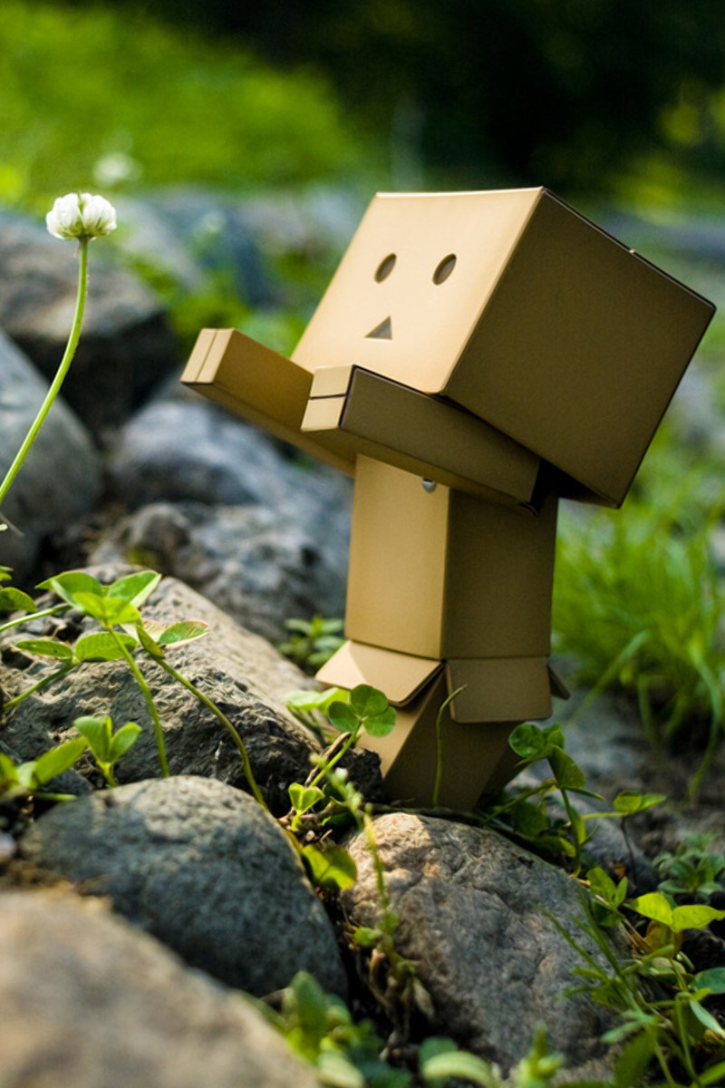 3d Box Robot Clover Android Wallpaper - Little Box Man - HD Wallpaper 