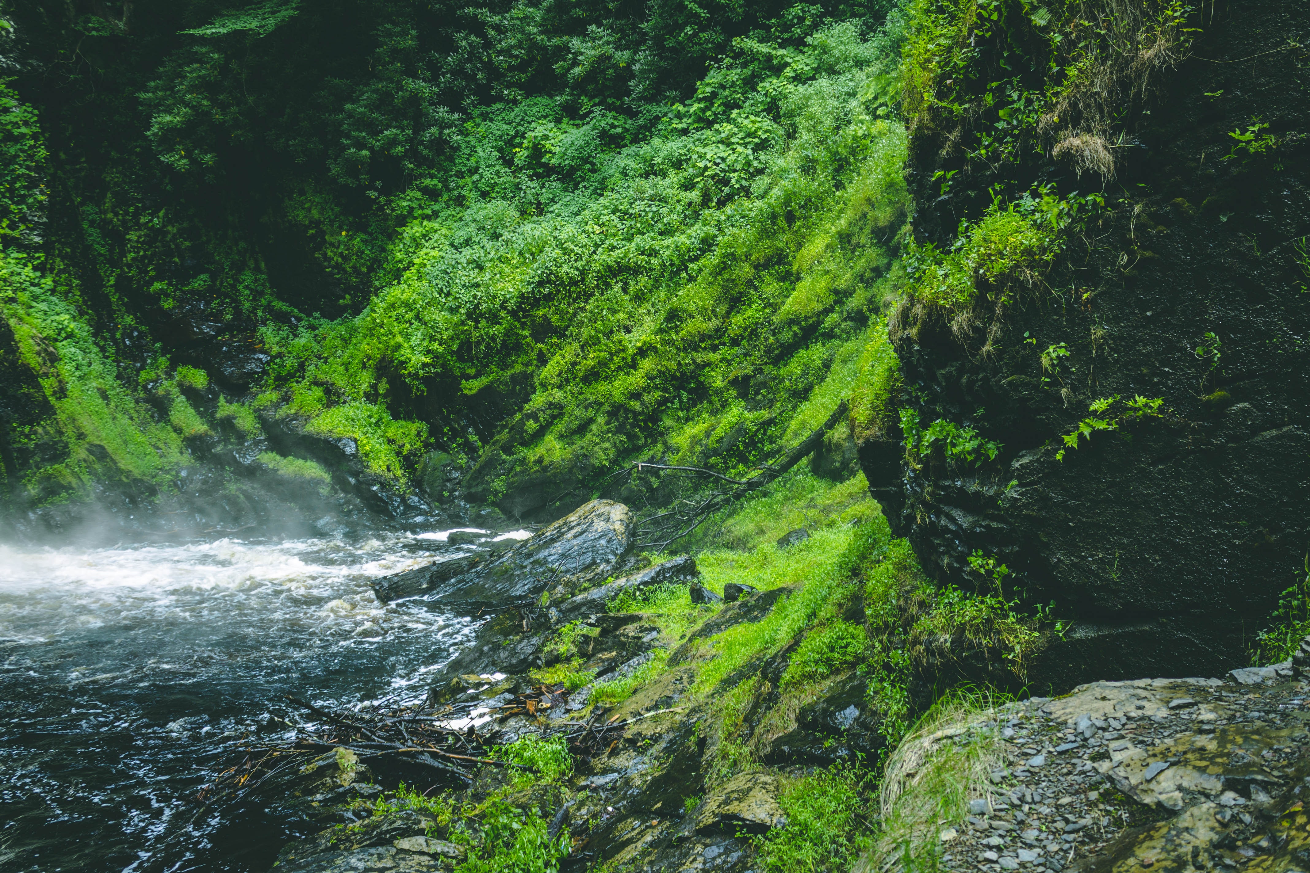 345 Wallpaper Pemandangan Hijau Images & Pictures - MyWeb