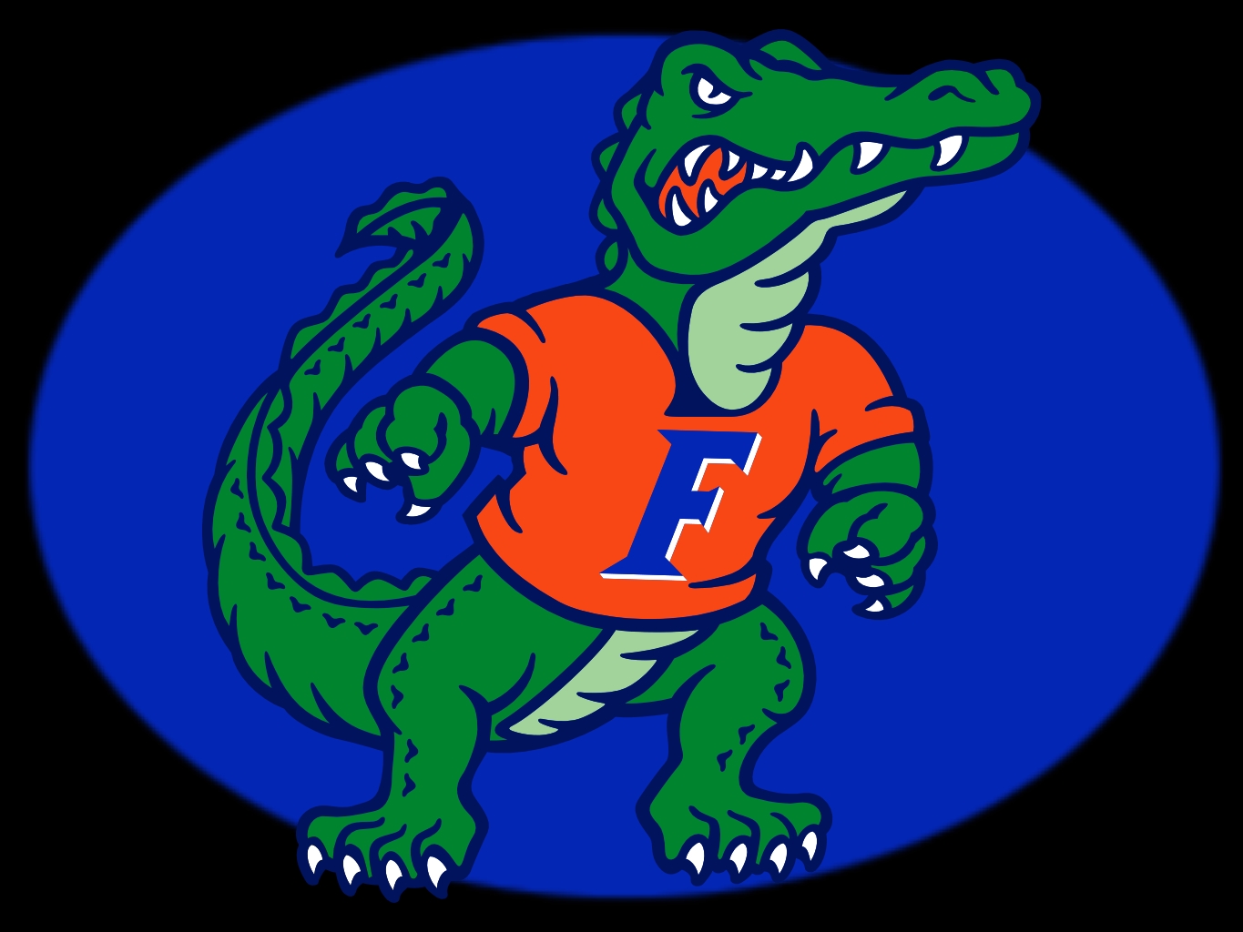 Florida Gators - HD Wallpaper 