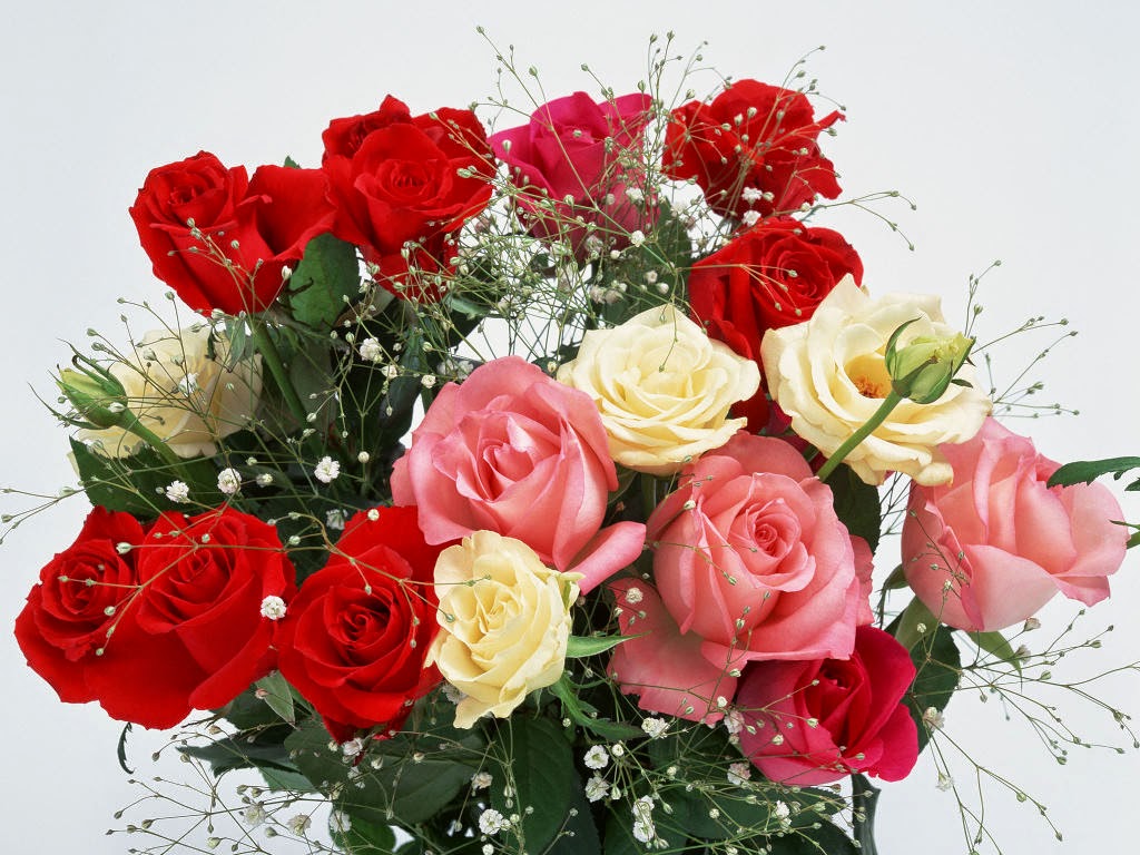 500 Gambar  Bunga  Mawar Bergerak  Gratis Girlfriend Romantic Love Flowers 1024x768 Wallpaper 