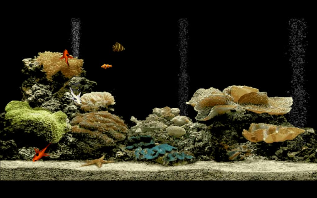 Free Aquarium Screensaver - Live Wallpaper Hd Free Download - HD Wallpaper 