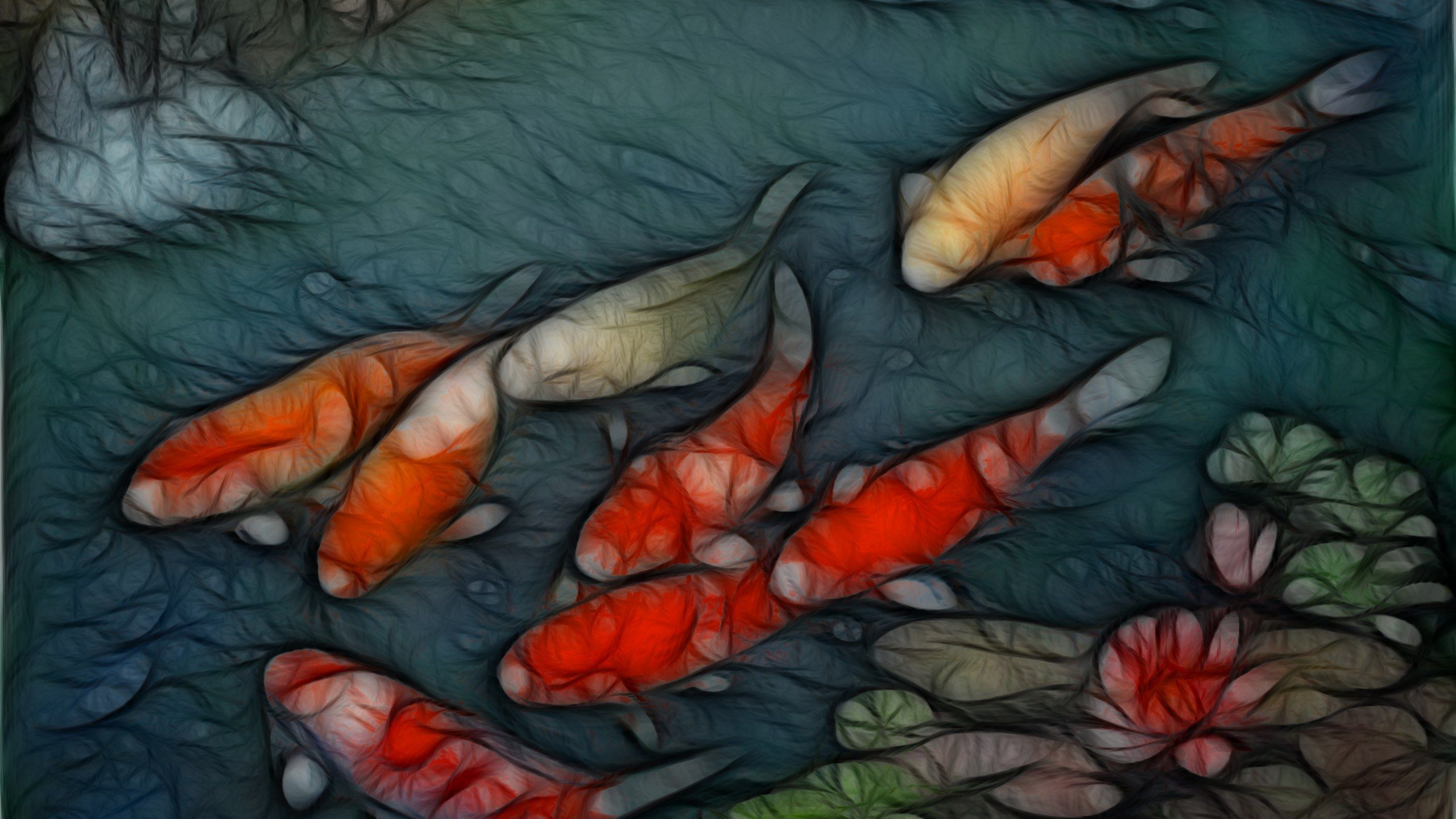 Koi Desktop Background - HD Wallpaper 